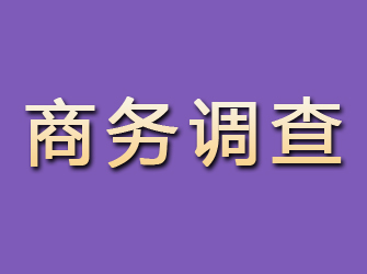 福海商务调查